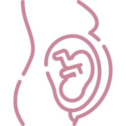 Schwangerschaft Icon