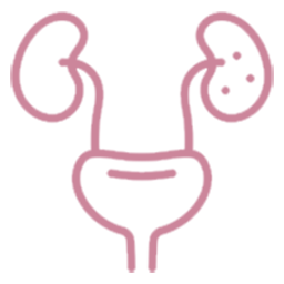 Urologische Probleme bei Frauen behandeln
